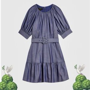 Ted Baker Blue Dress for Effortless Style